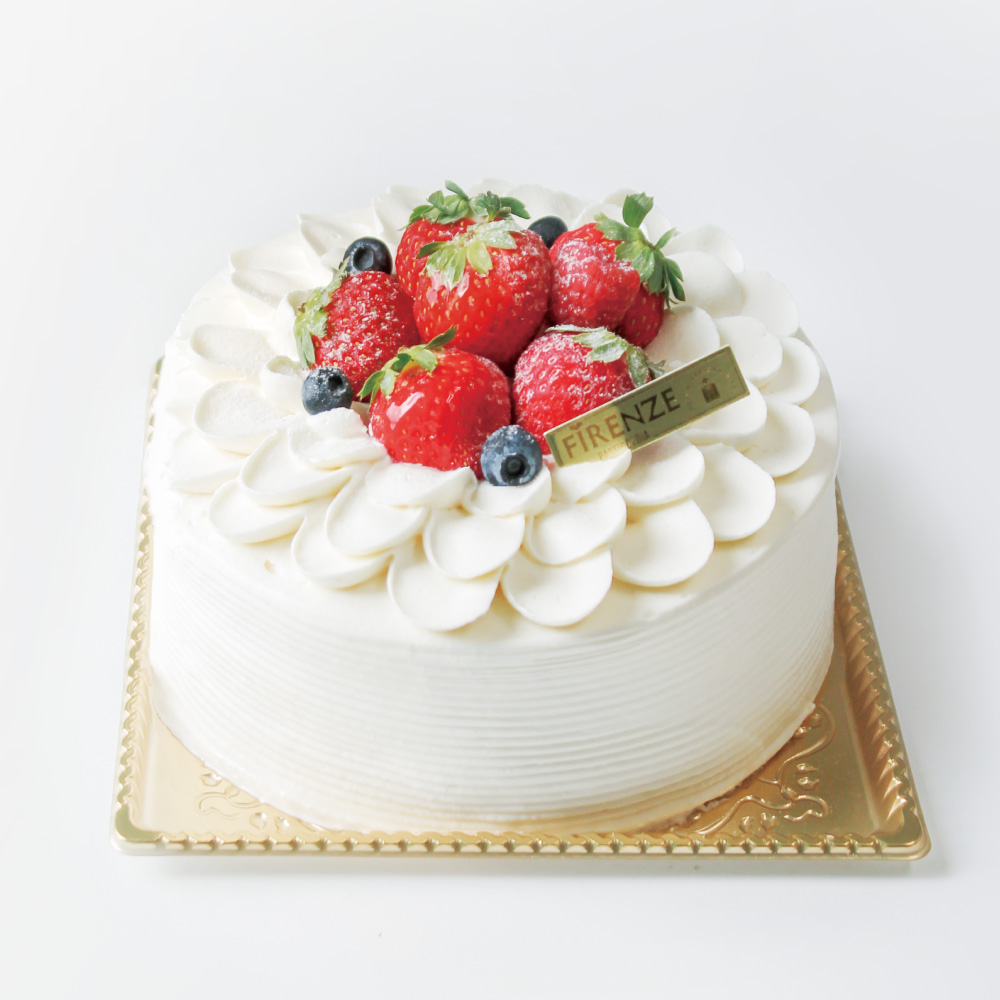 セゾン<21cm>