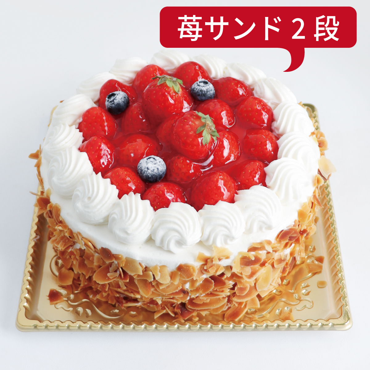 苺の王様<24cm>